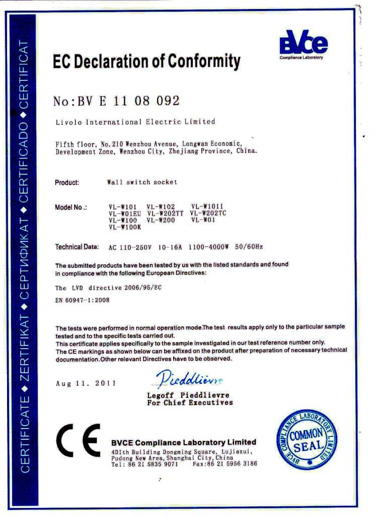 Raport de testare BVE1108091