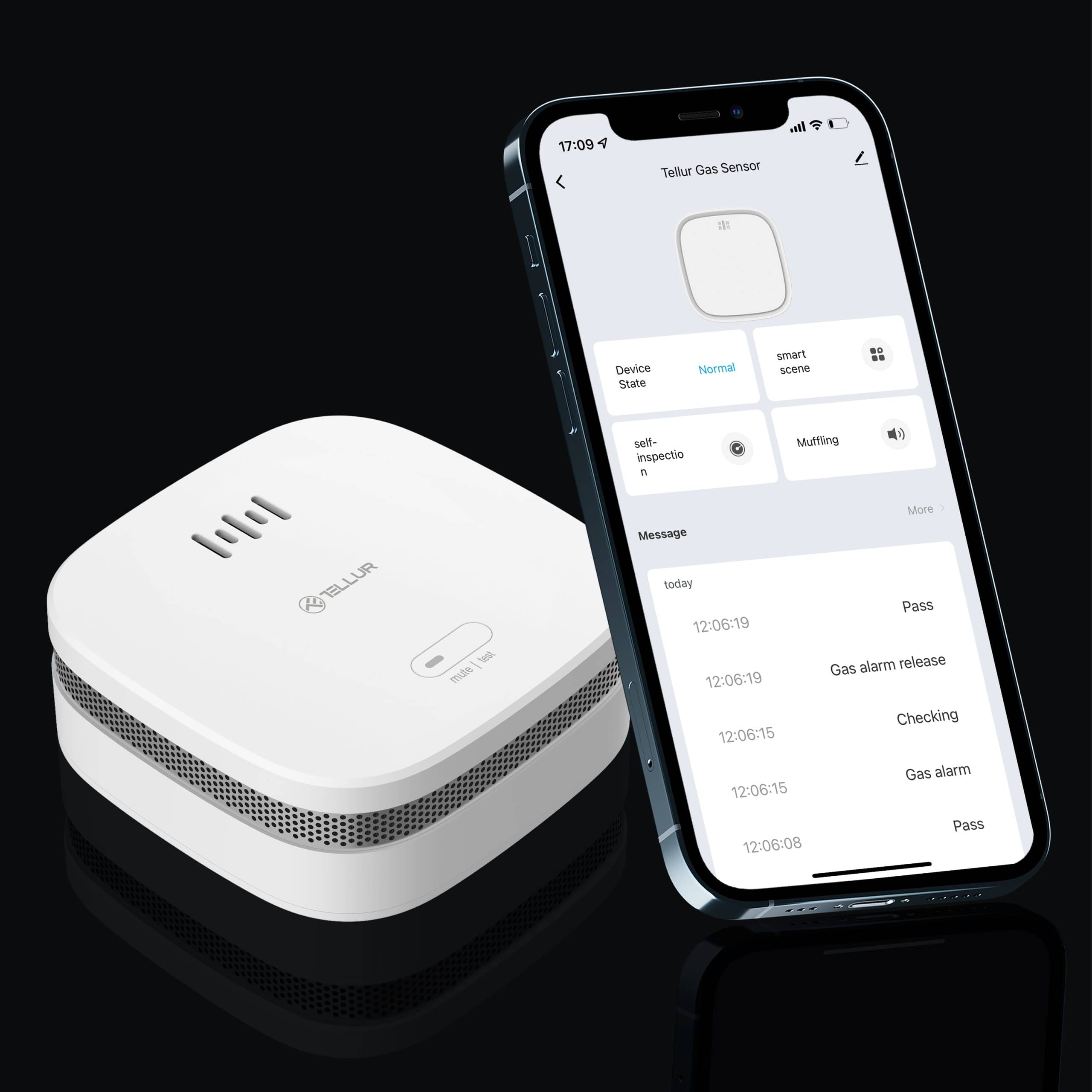 Senzor de fum Tellur, Wi-Fi, 2.4 GHz, Indicator, Alarma, Notificari — imaginea 6