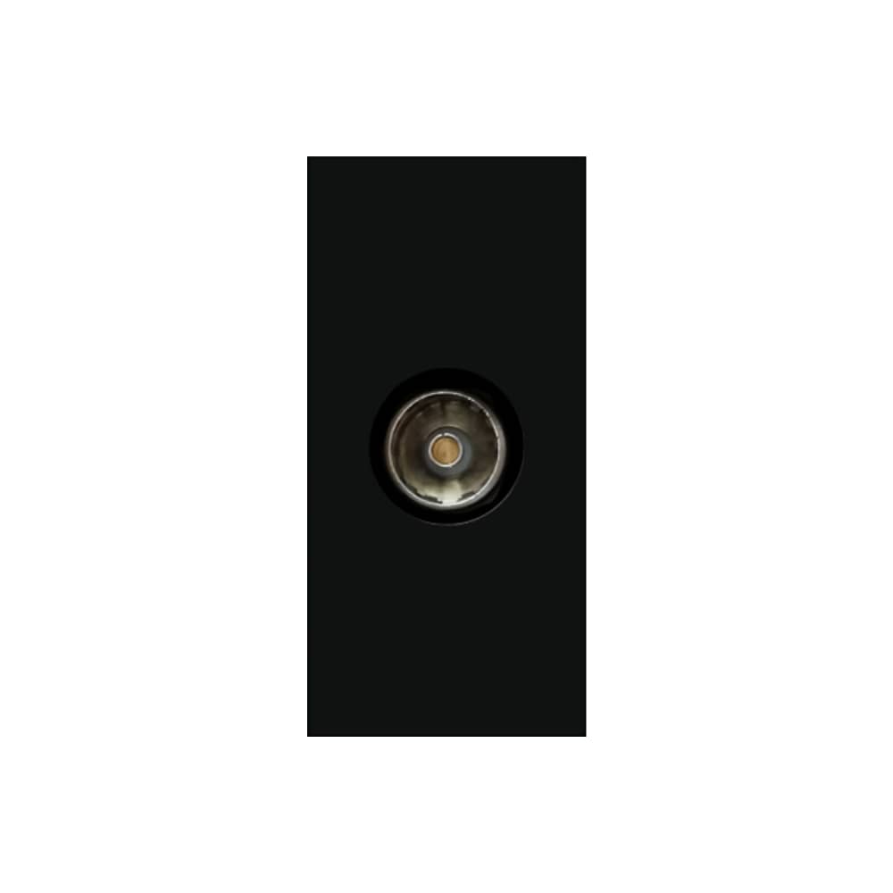 Modul Priza TV 1M LUXION — imaginea 2