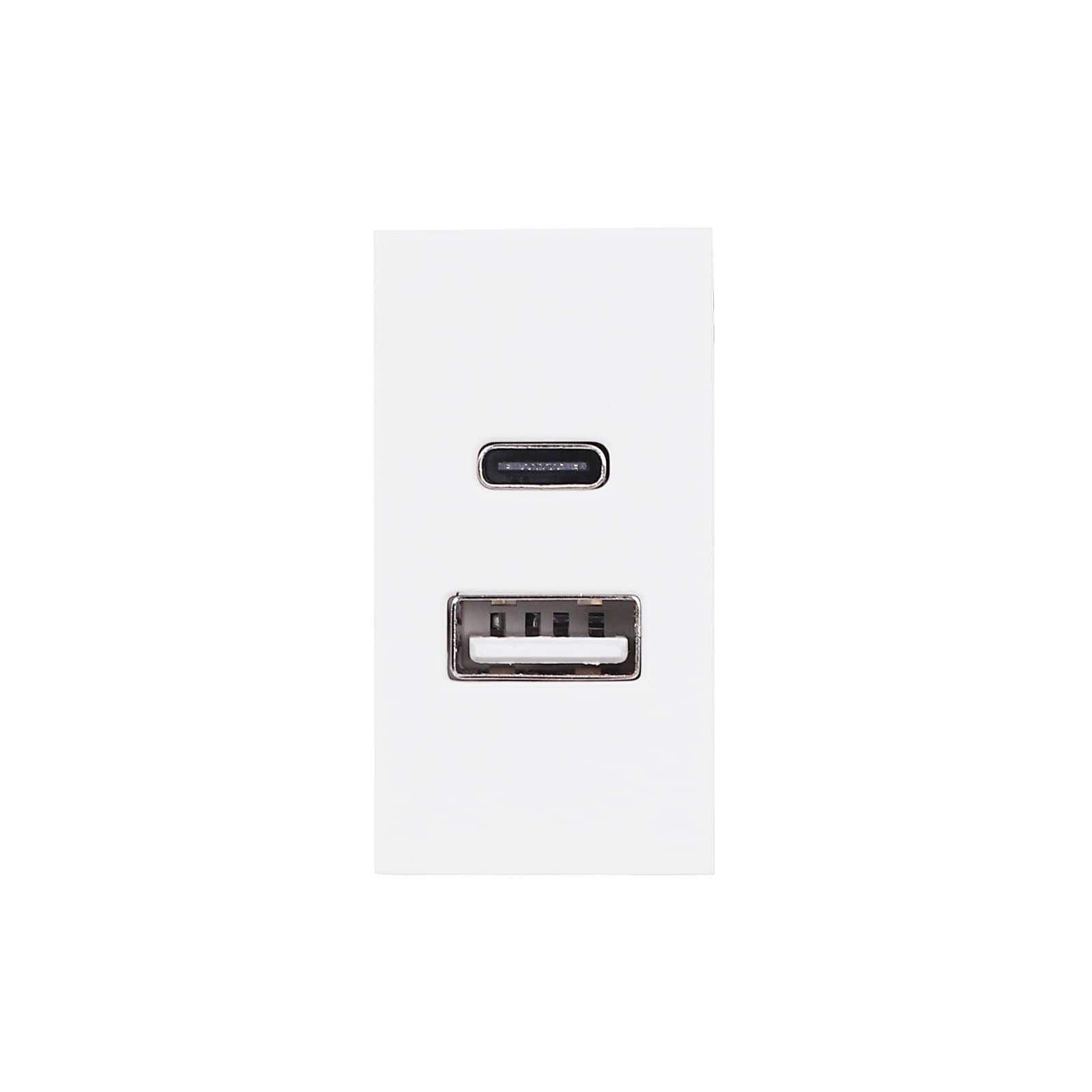Modul Priza USB A+C 1M LUXION, Standard Italian — imaginea 2