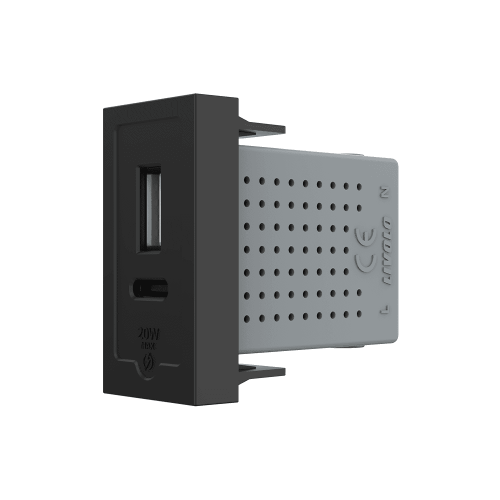 Modul Priza USB-A + USB-C, 20W LIVOLO