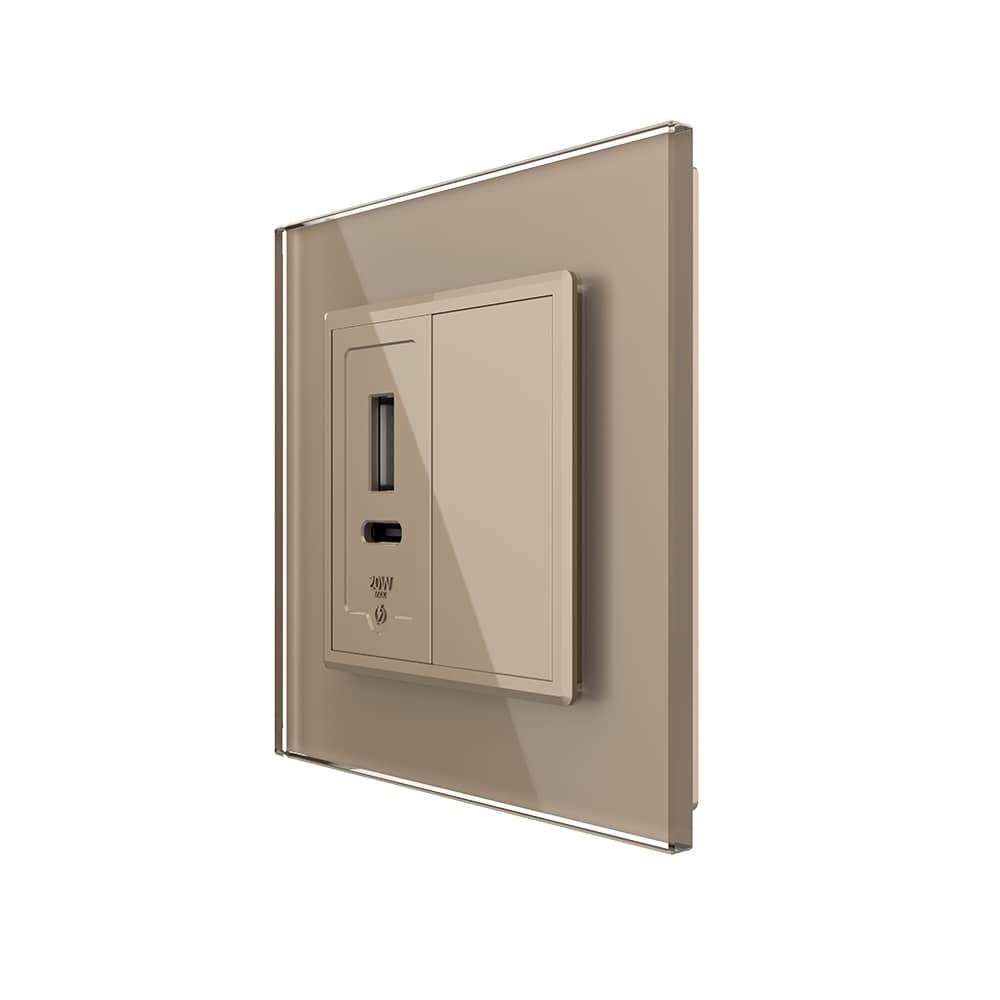Priza USB-A + USB-C cu Rama Din Sticla si Tasta Falsa LIVOLO